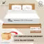 Cool Blue Feather Print Premium Cotton feeling King Size Double Bed Bedsheet with 2 Pillow Covers